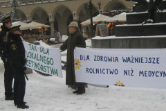 Pikieta w Krakowie