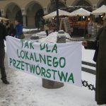 Pikieta w Krakowie - 9 stycznia 2013_7