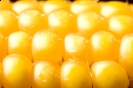 China Refuses Shipments Of US GMO Corn